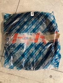 GUARNIZIONE PORTA ANT SX FIAT PUNTO 1 serie 5 p