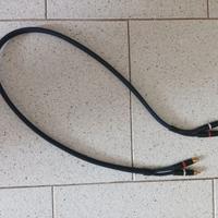 CAVI RCA VAN DAMME 1M