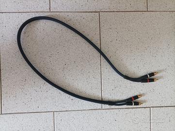 CAVI RCA VAN DAMME 1M