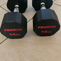 Bilanceri 14 kg