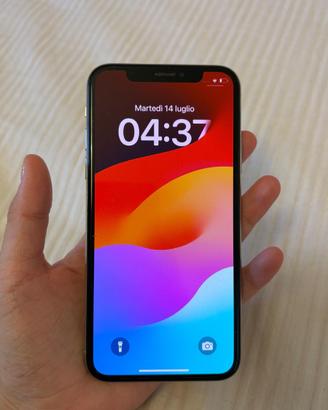 iPhone  Xs 64 Gb