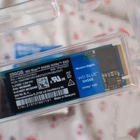 SSD western Digital