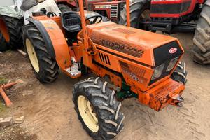TRATTORE GOLDONI 774 FRUTTETO