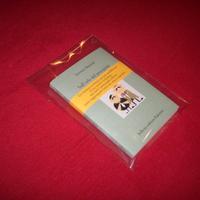 A Manzini Sull'orlo del precipizio I edizione 2015