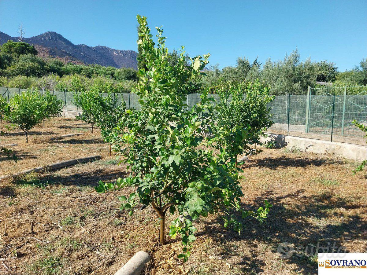 VILLAGRAZIA DI PALERMO: TERRENO MQ 1.600 - Vista 3