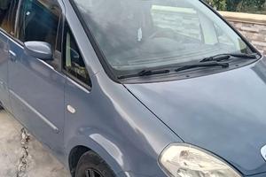 Lancia musa