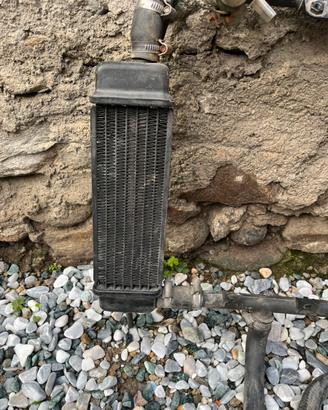 Radiatore phantom f12