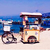 Bicicletta elettrica street food 