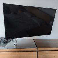 TV 42 POLLICI