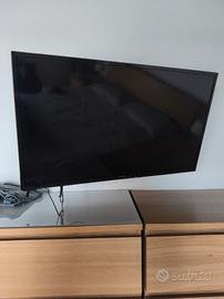 TV 42 POLLICI