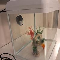 ACQUARIO