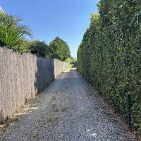 Terreno Livorno