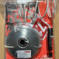 Variatore multivar 2000 (malossi)