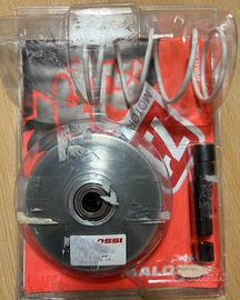 Variatore multivar 2000 (malossi)