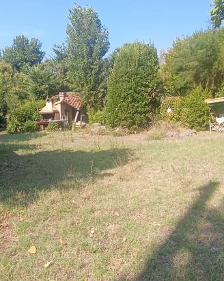 Terreno agricolo con capanno ed area cortiliva