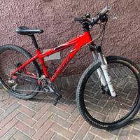 Mtb Specialized