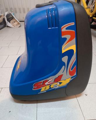 Ski Box Roncato