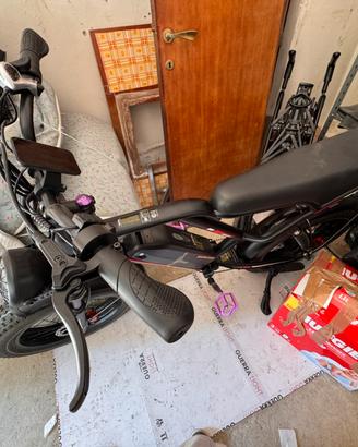 Bicicletta elettrica