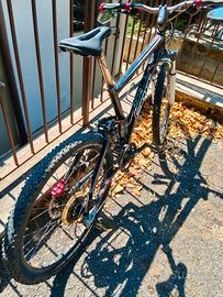 scott aspect 26