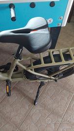 Bicicletta pedalata assistita