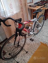 bicicletta  corsa torpado
