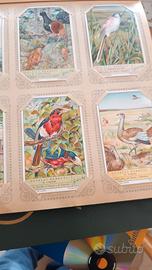 album figurine Liebig 