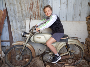 Bianchi Falco sport 50