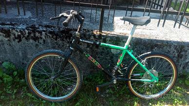 Bicicletta da Bambino