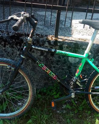 Bicicletta da Bambino