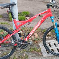 bicicletta da ragazzino