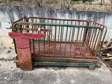 Bascula pesa bestiami, pesa per bestiami