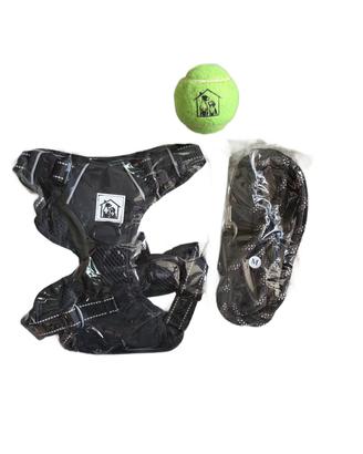 Set  start completo Baby cucciolo 