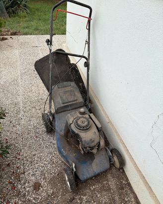 Tagliaerba a motore