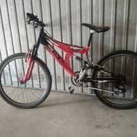 bicicletta per ragazzo 24 pollici