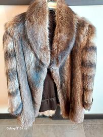 Pelliccia in vera Marmotta 