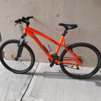 Mountain bike