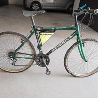 bicicletta da adulto