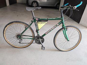 bicicletta da adulto