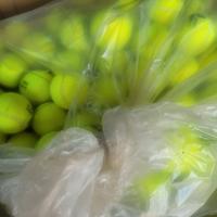 Palline da tennis