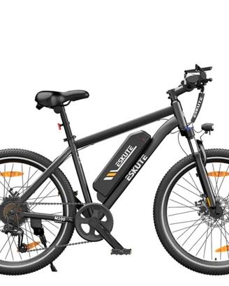 bici elettrica 