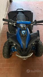 Mini quod elettrico