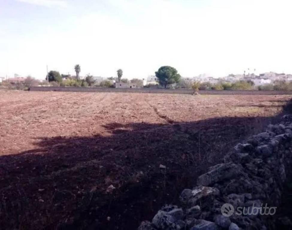 Immobile in asta di 6857 m² a Alessano - Vista 4