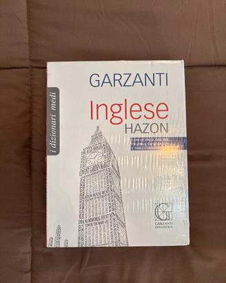 Dizionario