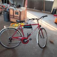 bici da uomo