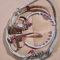 Kit ramponi-cintura per arrampicata pali/alberi