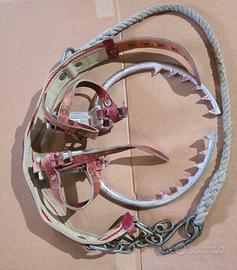 Kit ramponi-cintura per arrampicata pali/alberi