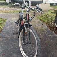 bicicletta bambina 20 pollici