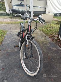 bicicletta bambina 20 pollici