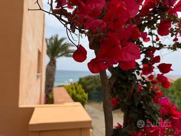 Bungalow Antonio 50 m dal mare Costa Rei