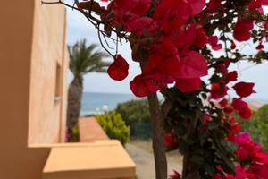 Bungalow Antonio 50 m dal mare Costa Rei